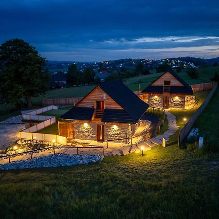 Kasztanowe Zacisze Villa ยาโวซินกา ภายนอก รูปภาพ